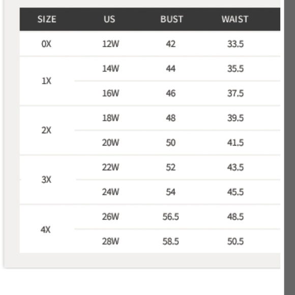 Sheer Ruffle Camisole Plus Size Top - Picture 8 of 8